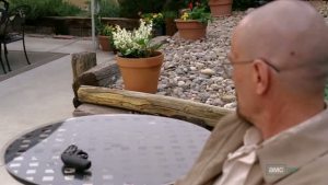 Breaking-Bad-Lily-of-the-Valley